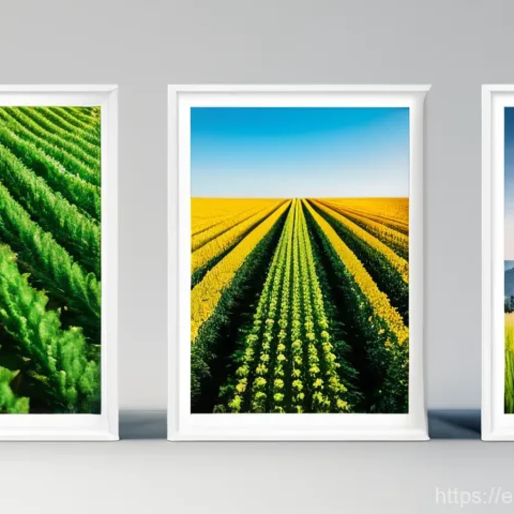 브뤼셀 그랑 플라스 - Here are three detailed image prompts in English, adhering to all the specified guidelines: