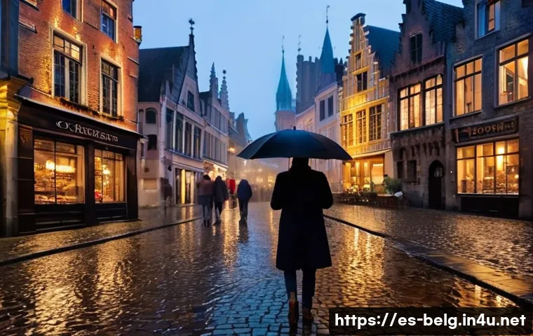 벨기에 날씨 및 기후 - **Prompt:** A stylish person, bundled in a chic, waterproof trench coat over a sweater and dark pant...